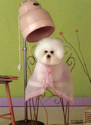 petspa12.jpg