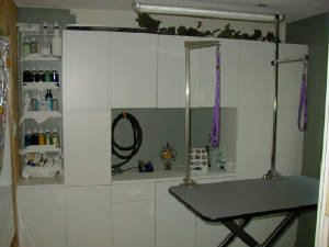 salon1.jpg